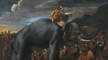 Круглый стол «Слоны в истории и культуре»‎ 